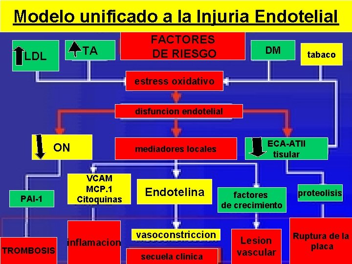 Modelo unificado a la Injuria Endotelial TA LDL FACTORES DE RIESGO DM tabaco estress