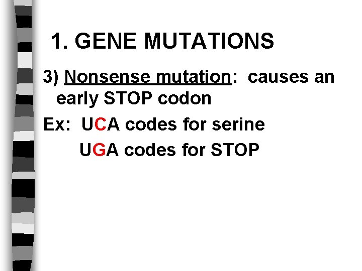 1. GENE MUTATIONS 3) Nonsense mutation: causes an early STOP codon Ex: UCA codes