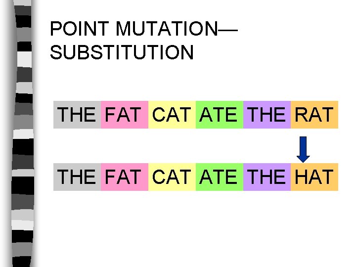 POINT MUTATION— SUBSTITUTION THE FAT CAT ATE THE RAT THE FAT CAT ATE THE