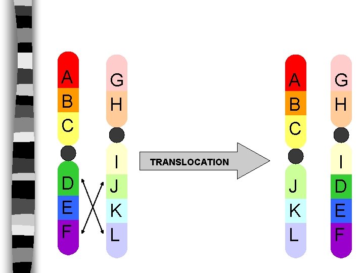 A B C G H D E F I J K L A B