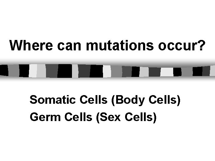 Where can mutations occur? Somatic Cells (Body Cells) Germ Cells (Sex Cells) 