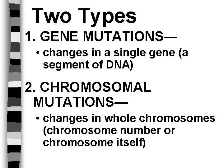 Two Types 1. GENE MUTATIONS— • changes in a single gene (a segment of