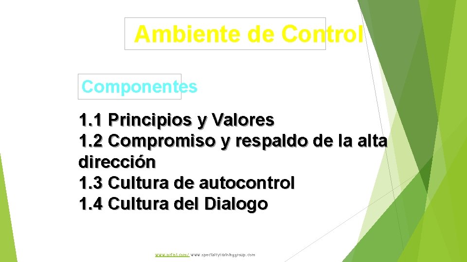 Ambiente de Control Componentes 1. 1 Principios y Valores 1. 2 Compromiso y respaldo