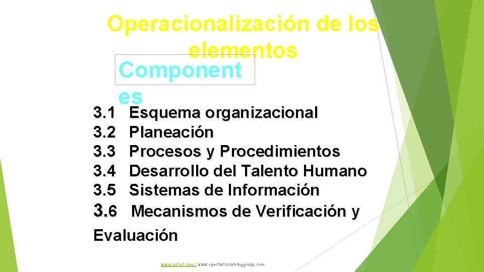 Operacionalización de los elementos Component es 3. 1 Esquema organizacional 3. 2 Planeación 3.