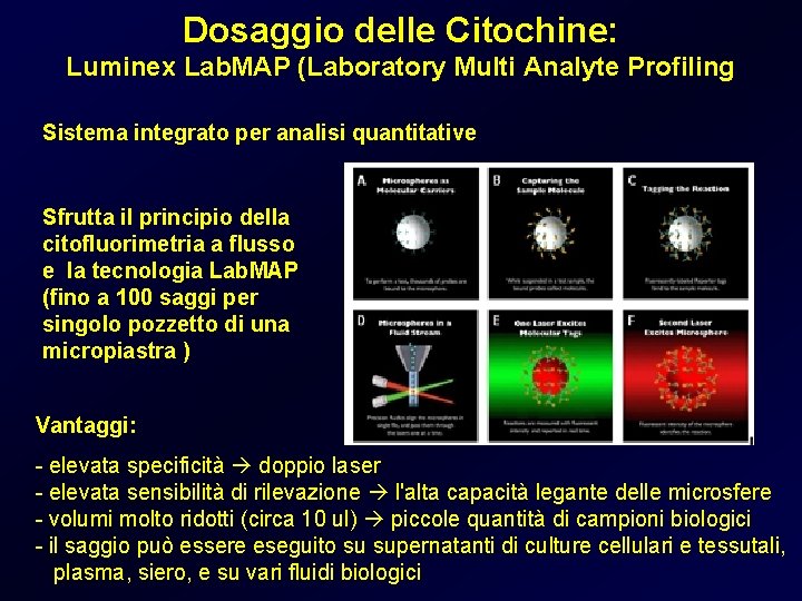 Dosaggio delle Citochine: Luminex Lab. MAP (Laboratory Multi Analyte Profiling Sistema integrato per analisi