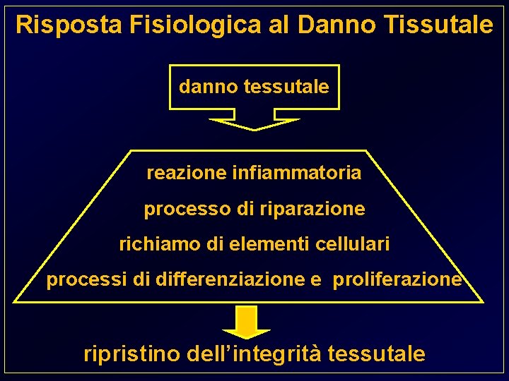 Risposta Fisiologica al Danno Tissutale danno tessutale reazione infiammatoria processo di riparazione richiamo di
