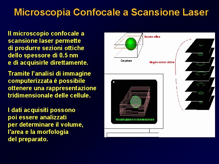 Microscopia Confocale a Scansione Laser Il microscopio confocale a scansione laser permette di produrre