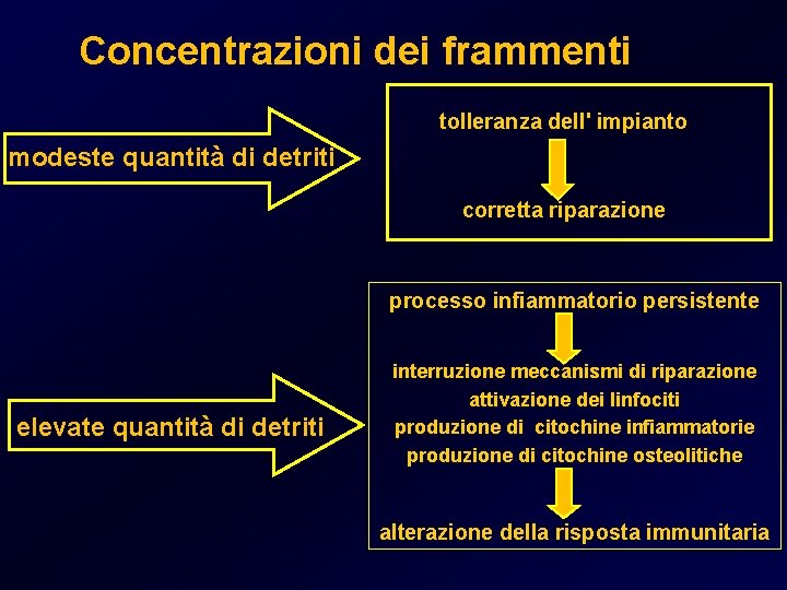 Concentrazioni dei frammenti tolleranza dell' impianto modeste quantità di detriti corretta riparazione processo infiammatorio