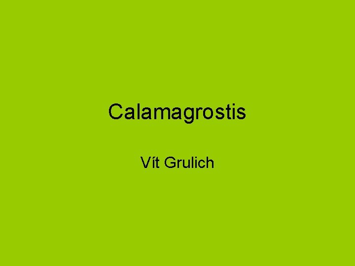 Calamagrostis Vít Grulich 