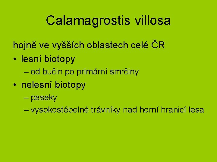 Calamagrostis villosa hojně ve vyšších oblastech celé ČR • lesní biotopy – od bučin