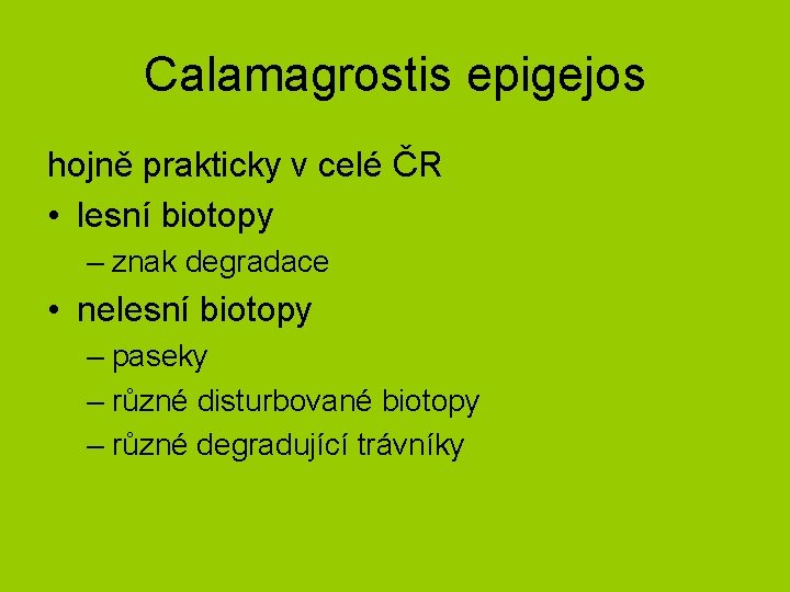 Calamagrostis epigejos hojně prakticky v celé ČR • lesní biotopy – znak degradace •