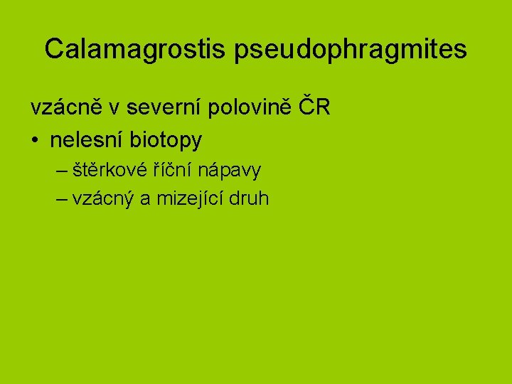 Calamagrostis pseudophragmites vzácně v severní polovině ČR • nelesní biotopy – štěrkové říční nápavy