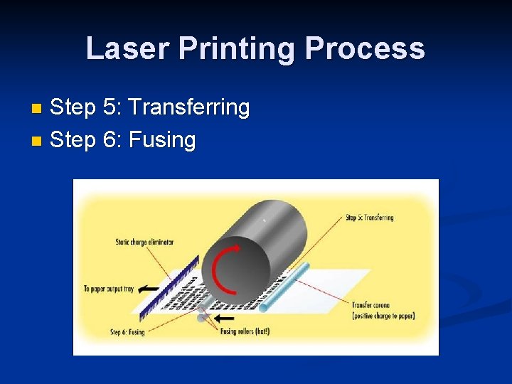Laser Printing Process Step 5: Transferring n Step 6: Fusing n 
