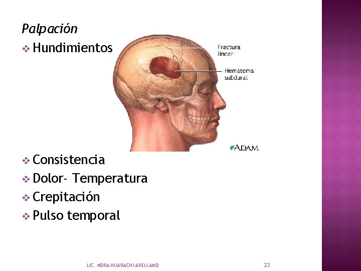 Palpación v Hundimientos v Consistencia v Dolor- Temperatura v Crepitación v Pulso temporal LIC.