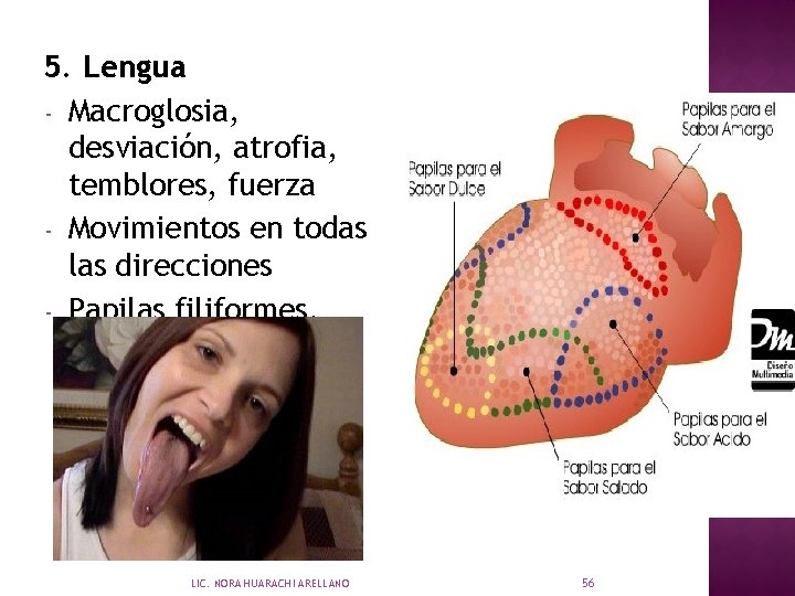 5. Lengua - Macroglosia, desviación, atrofia, temblores, fuerza - Movimientos en todas las direcciones