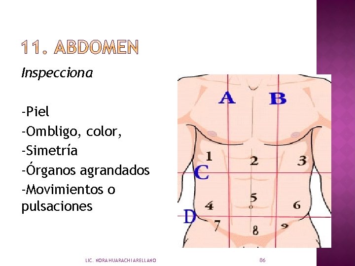 Inspecciona -Piel -Ombligo, color, -Simetría -Órganos agrandados -Movimientos o pulsaciones LIC. NORA HUARACHI ARELLANO