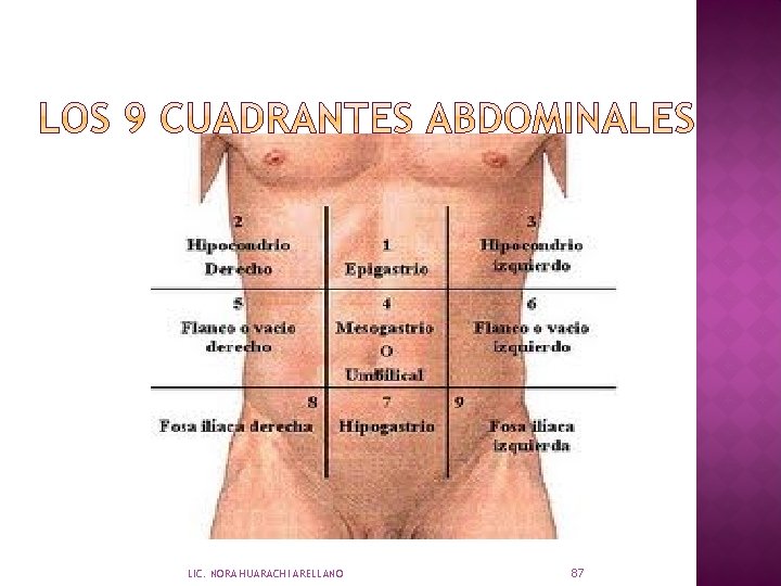 LIC. NORA HUARACHI ARELLANO 87 