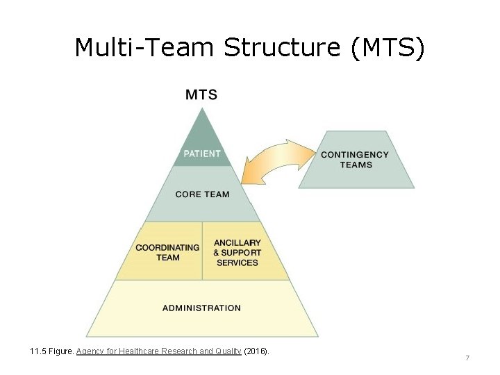 Multi-Team Structure (MTS) 11. 5 Figure. Agency for Healthcare Research and Quality (2016). 7