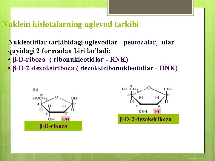 Nuklein kislotalarning uglevod tarkibi Nukleotidlar tarkibidagi uglevodlar - pentozalar, ular quyidagi 2 formadan biri