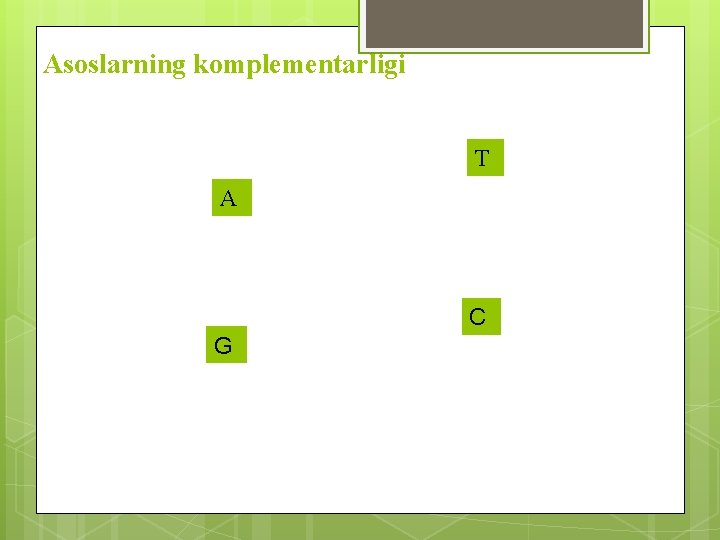 Asoslarning komplementarligi Т А C G 