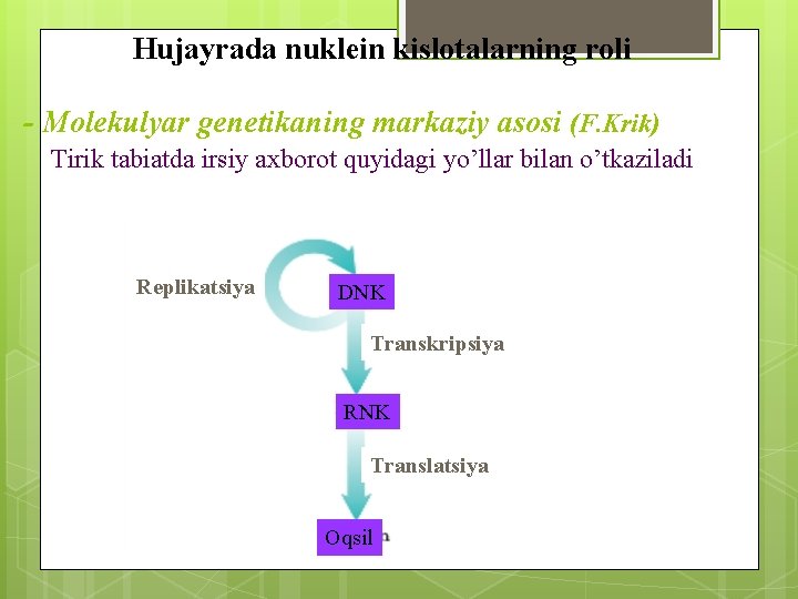 Hujayrada nuklein kislotalarning roli - Molekulyar genetikaning markaziy asosi (F. Krik) Tirik tabiatda irsiy