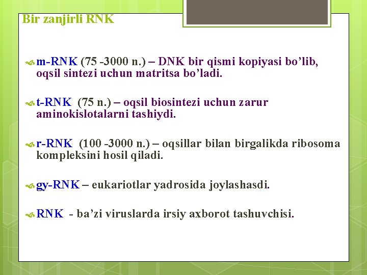 Bir zanjirli RNK m-RNK (75 -3000 n. ) – DNK bir qismi kopiyasi bo’lib,