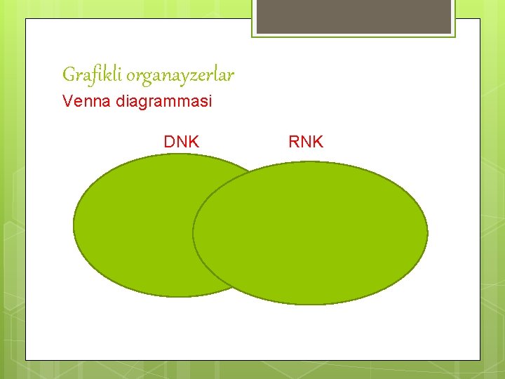 Grafikli organayzerlar Venna diagrammasi DNK RNK 