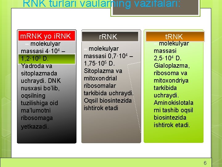 RNK turlari vaularning vazifalari: m. RNK yo i. RNK – molekulyar massasi 4· 104