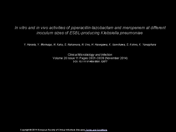 In vitro and in vivo activities of piperacillin-tazobactam and meropenem at different inoculum sizes