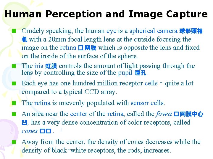 Human Perception and Image Capture Crudely speaking, the human eye is a spherical camera