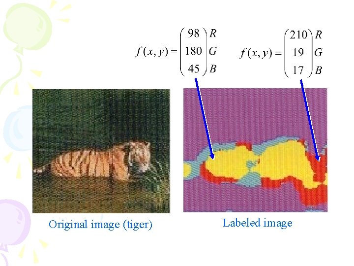 Original image (tiger) Labeled image 