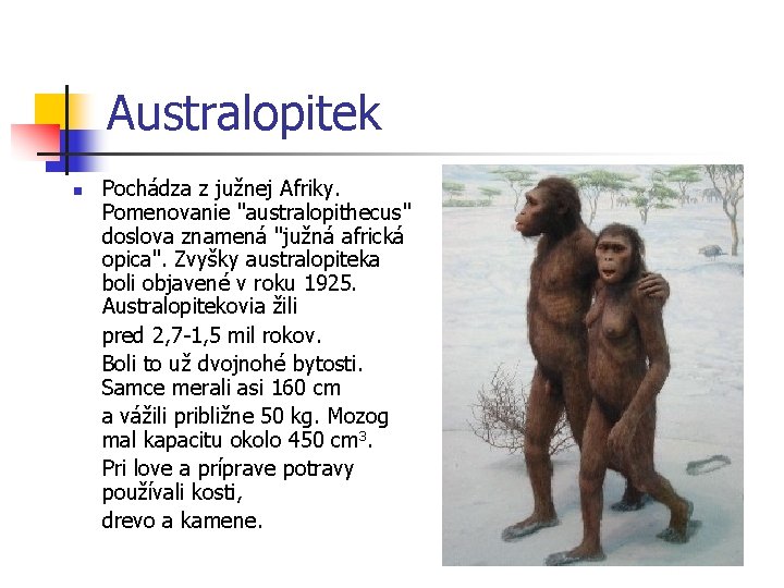 Australopitek n Pochádza z južnej Afriky. Pomenovanie "australopithecus" doslova znamená "južná africká opica". Zvyšky