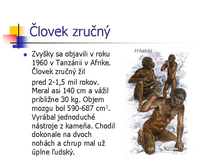 Človek zručný n Zvyšky sa objavili v roku 1960 v Tanzánii v Afrike. Človek