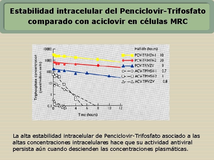 Estabilidad intracelular del Penciclovir-Trifosfato comparado con aciclovir en células MRC La alta estabilidad intracelular
