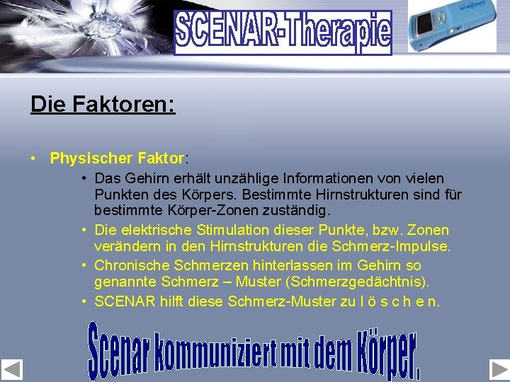 Die Faktoren: • Physischer Faktor: • Das Gehirn erhält unzählige Informationen von vielen Punkten