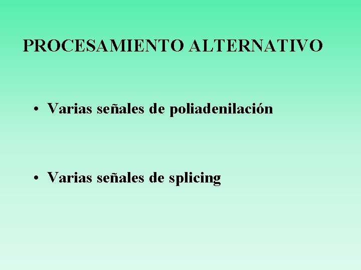 PROCESAMIENTO ALTERNATIVO • Varias señales de poliadenilación • Varias señales de splicing 