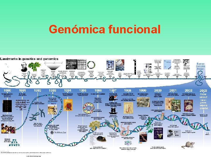 Genómica funcional 