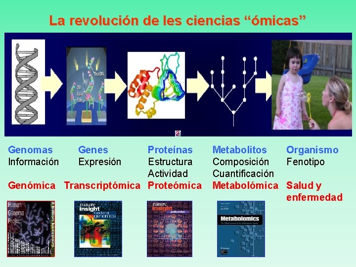 La revolución de les ciencias “ómicas” Genomas Información Genes Expresión Proteínas Estructura Actividad Genómica