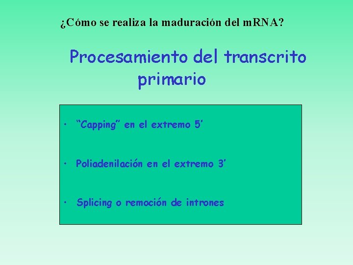 ¿Cómo se realiza la maduración del m. RNA? Procesamiento del transcrito primario • “Capping”