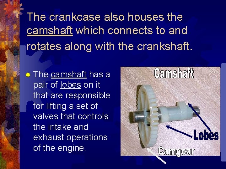 The crankcase also houses the camshaft which connects to and rotates along with the