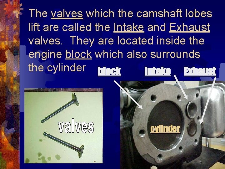 The valves which the camshaft lobes lift are called the Intake and Exhaust valves.