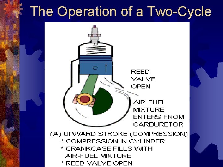 The Operation of a Two-Cycle 