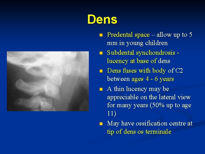 Dens n n n Predental space – allow up to 5 mm in young