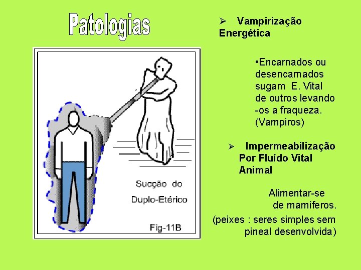 Ø Vampirização Energética • Encarnados ou desencarnados sugam E. Vital de outros levando -os