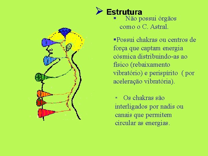 Ø Estrutura § Não possui órgãos como o C. Astral. §Possui chakras ou centros