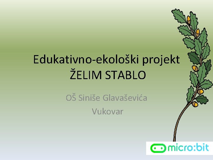 Edukativno-ekološki projekt ŽELIM STABLO OŠ Siniše Glavaševića Vukovar 