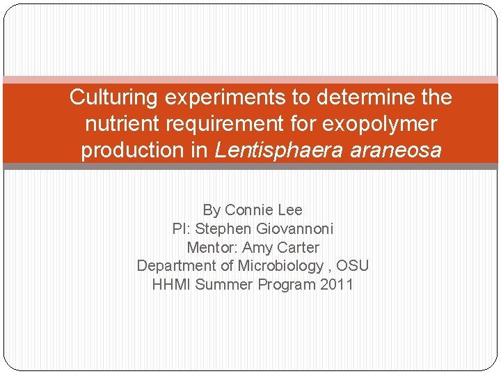 Culturing experiments to determine the nutrient requirement for exopolymer production in Lentisphaera araneosa By