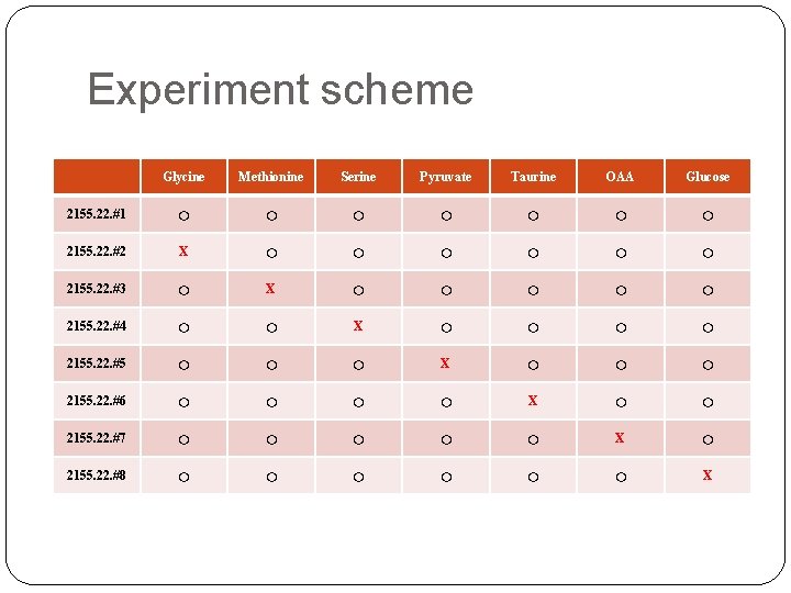 Experiment scheme Glycine Methionine Serine Pyruvate Taurine OAA Glucose 2155. 22. #1 ○ ○