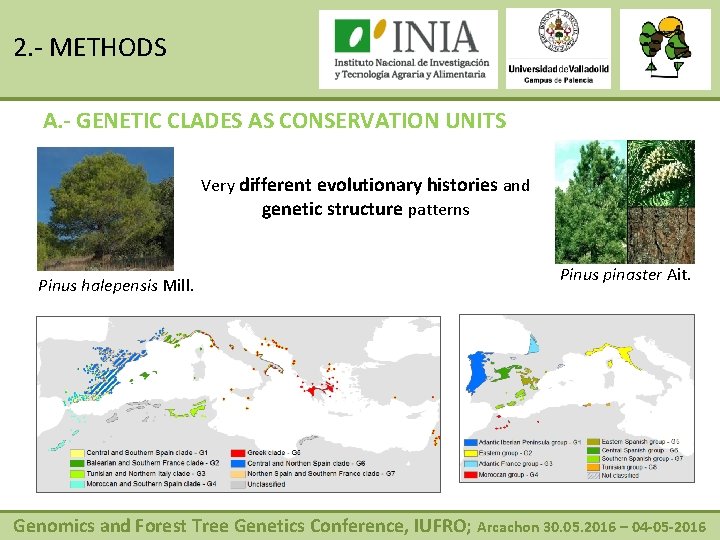 2. - METHODS A. - GENETIC CLADES AS CONSERVATION UNITS Very different evolutionary histories