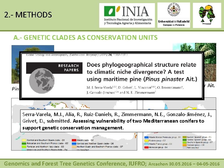 2. - METHODS A. - GENETIC CLADES AS CONSERVATION UNITS Very different evolutionary histories